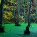 Spells For Self Love