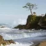 Free Better Business Spells