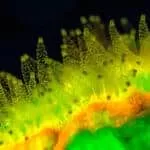 Spells To Sell A Business