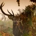 Business Success Spells