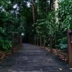 Strong Love Potion Spell For Intimacy