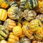 WEST AFRICAN VOODOO SPELLS