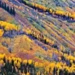 AFRICAN VOODOO SPELLS