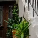 Voodoo Love Spells Work