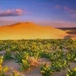 Real Voodoo Love Spells