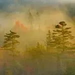 Free Magic Spells Revenge Spells