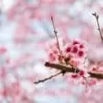 Perfect Gay Marriage Love Spells