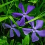 Same Sex Spells Work Gays Lesbians