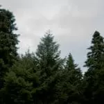 Working Money Spells