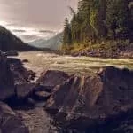 Psychic Love Advice