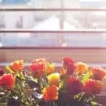 Spell For Business Increase