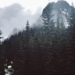 Traditional Healer in USA