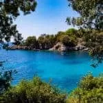 Traditional Healer Video