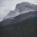 Traditional Healer Website