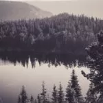 Red And White Beads Sangoma