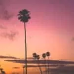 Powerful Sangomas In Chipinge