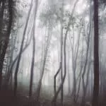 sangoma +27838962951