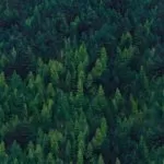 Spell To Keep A Man Faithful