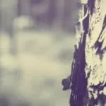 Know Someone Making Witchcraft