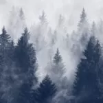 Top Best Spiritual Healer