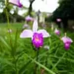 Distance Love Spells To Stop Separation