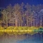 Best Sangoma And Traditional Healer In Barbeque Downs