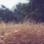 Best Sangoma And Traditional Healer In Airdlin