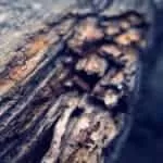 Best Sangoma And Traditional Healer In Cresta