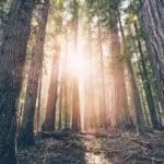 Intense Voodoo Love Spells Energy Voodoo Spells Affection