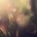 Wiccan Spells For Business Wiccan Spells For Money Wiccan Spells For Protection