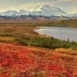 Divorce Spells Black Magic