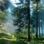 Miracle Prayer To Stop Divorce