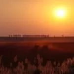 Marriage Spell Using Hair