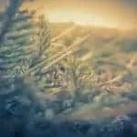 Prayer To Save Marriage From Divorce