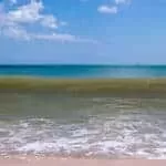 Divorce Spells That Work