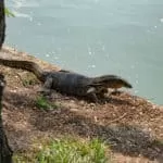 Endurance Love Spell That Works