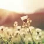 Strong Marriage Powerful Protection Spell