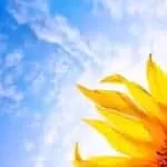 Control My Cheating Husband