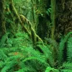 Free Love Spells That Really Work In 1 Minute