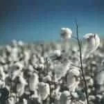 Accurate Good Luck Spells