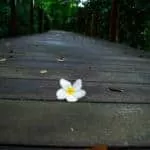 Loan Money Spells Debt Banishing Spells Inheritance Spells