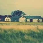 Powerful Fortune Teller