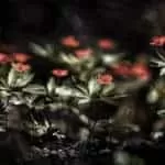 Powerful Best Job Spells