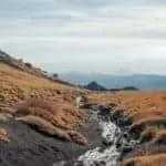 Delicious Love Spells