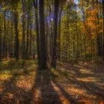 Does Psychic Spell Help Marriage Issues