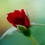 Fortune Success Fame And Money Spells That Work