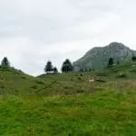 Inyanga | inyanga yesintu | inyanga yemali | ukuphupha inyanga | sangoma