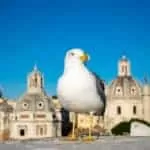 United States Highest Rated Psychic