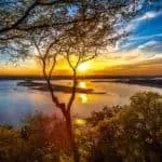 Best Psychic Readings Near Me