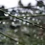 The Pepper And Salt Spell